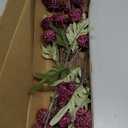 Floroom 6pcs Burgundy Faux Silk Mums Artificial Flowers, Bulk Fake Small Mini Chrysanthemums with Stems for DIY Wedding Centerpieces Floral Arrangements Vase Fillers Home Decorations