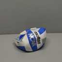 Molten Recreational Volleyball (Blue/Silver/White)