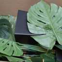 ASTIDY Artificial Monstera Deliciosa Plant 5FT - Faux Tropical Palm Tree with Black Tall Planter - Fake Swiss Cheese Floor Plant in Pot - Artificial Tree for Home Office Living Room Decor Indoor