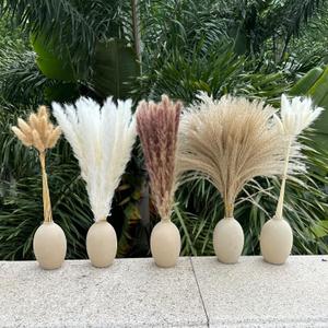 Pampas Grass Boho Home Decor 150Pcs 17-inch Natural Dried Flowers-Pampas Grass Contains Bunny Tails White Pampas Brown Pampas. Boho Decor for Farmhouse Wedding Boho Wall Bathroom Office Kitchen (150 Pcs)