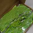24 Pcs Green Spring Natural Dried Amaranthus Hanging Flowers Amaranthus Artificial Flowers for Wedding Arch Bouquet Floral Garland Wall Home Decoration (23 Inch)