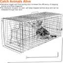 Humane Animal Trap Cage Collapsible Cat Trap Cage Live Animal Rodent Cage with Galvanized Wire for Raccoons Beavers Groundhogs Armadillos
