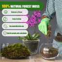 2 x Doter Dried Forest Moss for Plants (5 qt / 1 Pack), Sphagnum Potting Moss for Various Plants, Including Orchids, Carnivorous Plants, Succulents, Garden Flowers, and Reptiles
