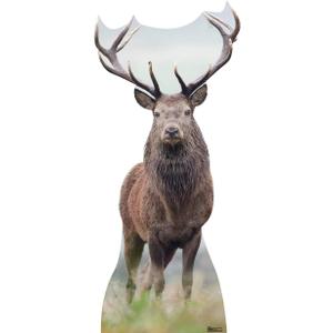 Cardboard People Deer Life Size Cardboard Cutout Standup, One Size