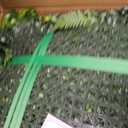 20"x20" (24 Pieces) Artificial Greenery Boxwood Hedge Panels