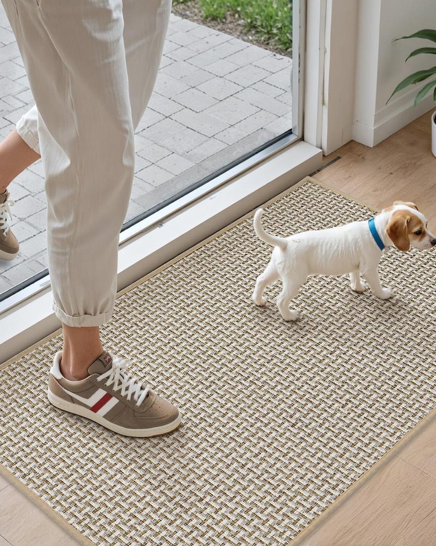 DEXI Door Mat Front Entryway Rugs, Non Slip Rubber Backing Doormat, Absorbent Thin Washable Carpet for Inside House Entrance, 24x36 Beige (2' x 3' (Rectangular), Beige)