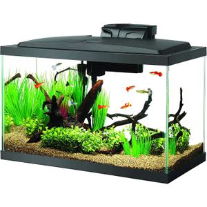 Aqueon Aquarium Fish Tank Starter Kit with LED Lighting 10 Gallon Fish Tank