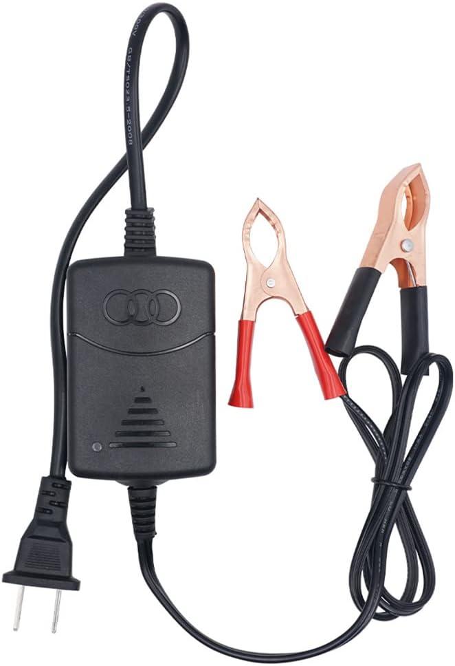 Automatic Battery Charger