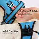 NESTROAD No Pull Dog Harness,Adjustable Oxford Dog Vest Harness with Leash,Reflective No-Choke Pet Harness with Easy Control Soft Handle for Dogs(X-Small,Blue)