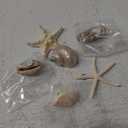 NUOBESTY Magnet Fridge 7PCS Refrigerator Beach Magnets 3D Seashell Conch Shape Sticker Nautical Refrigerator Whiteboard Locker for Home Kitchen Random Style Fridge Decor