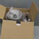 bella 10 Speed Countertop Blender, Juicer & Smoothie Maker, Fits-anywhere Kitchenware, Slim Flip & Store Design, Dishwasher Safe 48oz Capacity Pitcher & Lid, Stainless Steel Blade, 450 Watt, Oatmilk (6 Cup)