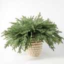 DN DECONATION Artificial Christmas Norfolk Pine Stems, Faux Pine Branches 22.4" 12PCS - Real Touch PE Greenery Fake Pine Needles for Vase Arrangements, Winter, Holiday Indoor Outdoor Home Decor (Set of 12, Green57)