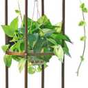 100% Metal Obelisk Garden Trellis 6.3 Feet Tall Sturdy Plant Support for Climbing Vines and Flowers Stands,1pc Upgrade (Bronze, Large)