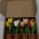 DILATATA 4 Pcs MultiColor Tulips Artificial Flowers Large Tulips Head Real Touch Fake Tulip Fake Flowers for Mother's Day 11.4" Faux Tulip for Vase Centerpieces Home Wedding Bouquet, Color May Vary