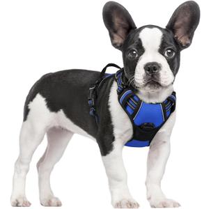 rabbitgoo Dog Harness No Pull with 2 Leash Clips, Adjustable Soft Padded, Reflective Oxford No Choke Pet Vest with Easy Control Handle for Small Dogs, Dazzling Blue, S