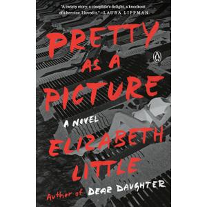 Pretty as a Picture: A Novel