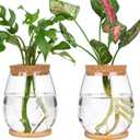 2 Pcs Propagation Vases, Tabletop Plant Terrarium for Propagating Hydroponic, Glass Terrarium Vase Jars, Home Kitchen Decorations and Gifts for Plant Lovers