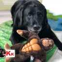 IOEN Patent Gum Massage Interactive Dog Chew Toys for Medium/Large Dogs,Durable Plush Stuffed Squeaky Dog Toys,12 Inches