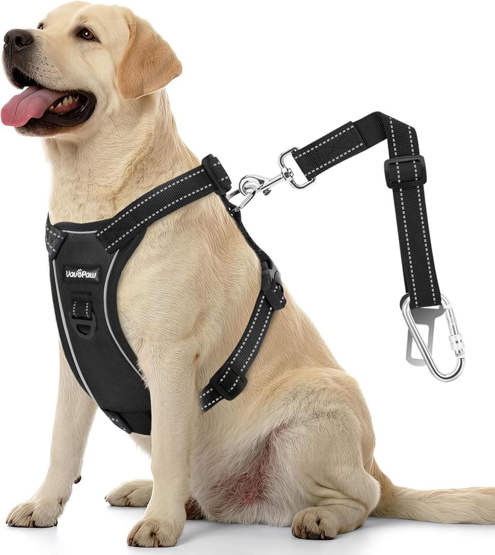 Dog Seat Belt Harness for Car, Dog Car Harness Adjustable Mesh Breathable & Dogs Seatbelt Safety Tether with Elastic Bungee (Carbon Black, L)