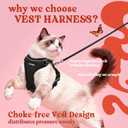 rabbitgoo Cat Harness and Leash for Walking, Escape Proof Soft Adjustable Vest Harnesses for Cats, Easy Control Breathable Reflective Strips Jacket, Black, M