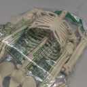 36" Skeleton Halloween Decorations, 3ft Life Size Human Skeleton with Full Body Movable Posable Joints Skeleton, Halloween Skeletons with 20 Spiders for Yard Haunted House Props Indoor Outdoor Decor (1 PCS)