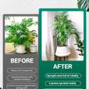 Breeze Touch 8 Pack Plant Support Stakes, 16 Inch Plant Stakes for Outdoor Plants, Peony Cage with 15 Pcs Green Lables, Peony Cages and Supports, Peonies Support Cages Flower Stakes for Plants