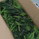 PABREY Realistic Christmas Garland, 1 Pcs 6 Ft Artificial Norfolk Pine Garland, Winter Christmas Greenery Garland for Mantle, Fireplace, Table, Wall, Christmas Decorations Indoor Outdoor (6 FT, 1)