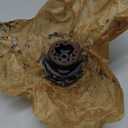 N481798 GEAR SA Assembly for Dewalt DCD996 DCD999 DCD996P2 DCD991P2 DCD999T1 DCD995 DCD995B DCD997P2BT DCD998 DCD998W1 DCD991 DCD996B DCD991M2 DCD996B DCD995M2 DCD995M2 DCD990M2