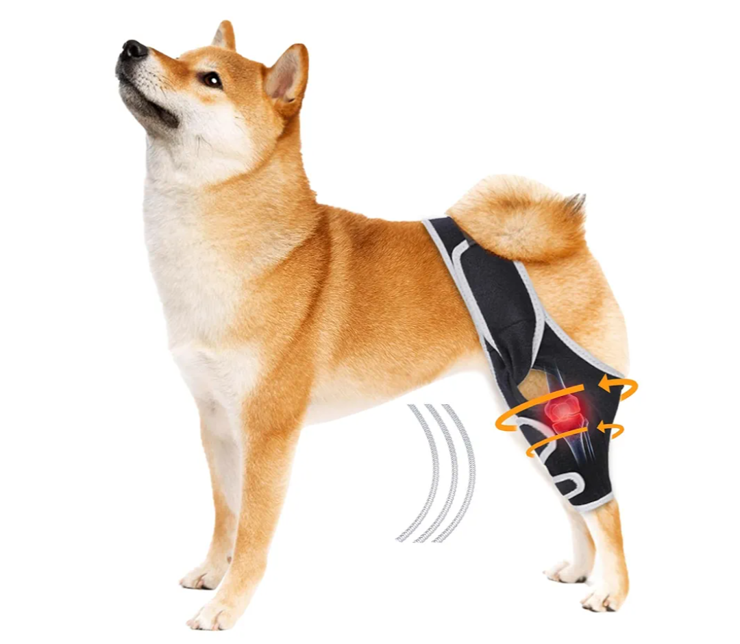 Dog Knee Brace for Acl Injury Recovery, Adjustable, Provides Stable Support for Ligament Strain and Joint Pain, Fits Front or Rear Leg, Ideal for Rehab and Everyday Use, Durable, Comfortable, M