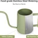 Watering Can Indoor Plants, 35 oz/1000 ml Metal Stainless Steel Watering Can Pot with Long Spout for Indoor House Plants Bonsai Outdoor Garden Flower Decorative (Sage Green)