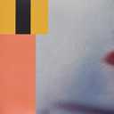 The Fragile: Deviations 1, Vinyl