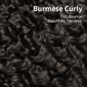 ASHINE Burmese Curly Bundles Human Hair Unprocessed Raw Burmese Hair 24 26 28 inch Quick Weave 3 Bundles Natural Black Water Wave with Spiral End