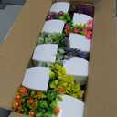 Cindeer 16 Pcs Small Fake Plants Artificial Potted Plants Faux House Plant Mini Pot Plastic Flowers for Indoor Outdoor Home Kitchen Office Desktop Wedding Decor