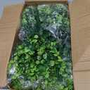 ColoPlay 20 Bundles Artificial Greenery Boxwood Plants, Fake Plant for Garden Porch, Window Box, Home Wedding, Farmhouse, and Indoor Outdoor Decoration