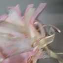 Pink Butterfly First Highchair Banner - 1st Birthday Decorations, Spring One Birthday Decorations, Butterfly Highchair Garland, Pink 1st Photo Prop Cake Smash