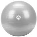 Exercise Ball - Multiple Sizes Gym Grade Balance Ball for Fitness, Yoga, Workout, Pregnancy & Physical Therapy, Grey
