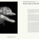 The Animal Mind: Profiles of Intelligence and Emotion