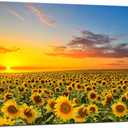 sechars Sunflower Canvas Wall Art Sunrise in Field Landscape Picture Painting Print Modern Living Room Decor,Framed Ready to Hang, 36"L x 24"W