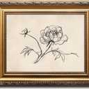 Kizbok Gold Framed Wall Art for Home Decor, Vintage Peony Line Art Prints, Minimalist Beige Flower Sketch Drawing Canvas Painting, Rustic Floral Wall Decor for Bedroom Decor, Aesthetic Farmhouse Botanical Deco r Framed Art Picture for Living Room Bathroom Gallery Shelf Decoration - 9x12inch