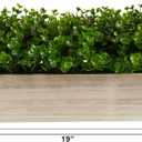 19in. Eucalyptus Artificial Plant in Decorative Planter