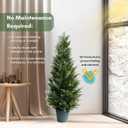 3FT Artificial Cedar Topiary Tree for Outdoor & Indoor Use UV Rated Faux Cedar Tree in Planter, Fake Plants for Outdoor Planters & Indoor Decor, Ultra Realistic Artificial Shrubs (2 Pack)
