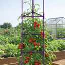 Growsun 51 inch Tomato Cage Heavy-Duty Plant Support Cucumber & Vine Vegetables Adjustable Purple Metal Garden Trellis for Climbing Plants, Indoor & Outdoor Use, 3 Pack