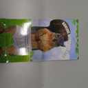 RONIAVL Squirrel in Underpants Deluxe Air Freshener (2Pcs)