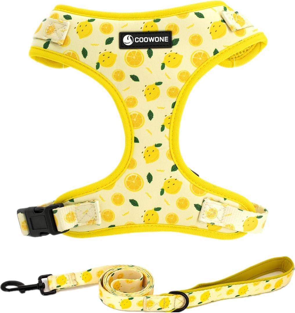 Dog Harness and Leash Set, Adjustable Dog Harness, Dog Leash, No Pull No Choke Puppy Harnesses for Walking Training for Small, Medium, Large Pet (Lemon, S(Chest 13-19", Neck 9.5-13.1"))