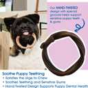 N-Bone Puppy Teething Rings Taste of Texas Burnt Ends Flavor 3 Count (EXP 05/26/26)