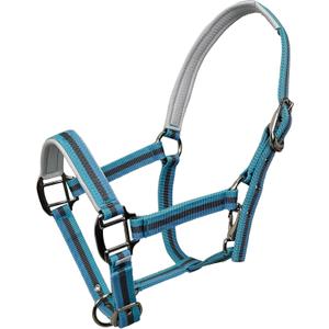 Hilltown Adjustable Horse Halter with PP Webbing, Durable Horse Halters with Zinc Alloy Hardware, Horses Training Equipment to Prevent Friction for Training, Competitions Daily (Cob, BLUE) Hilltown Adjustable Horse Halter with PP Webbing, Durable Horse Halters with Zinc Alloy Hardware, Horses Training Equipment to Prevent Friction for Training, Competitions Daily (Cob, BLUE)