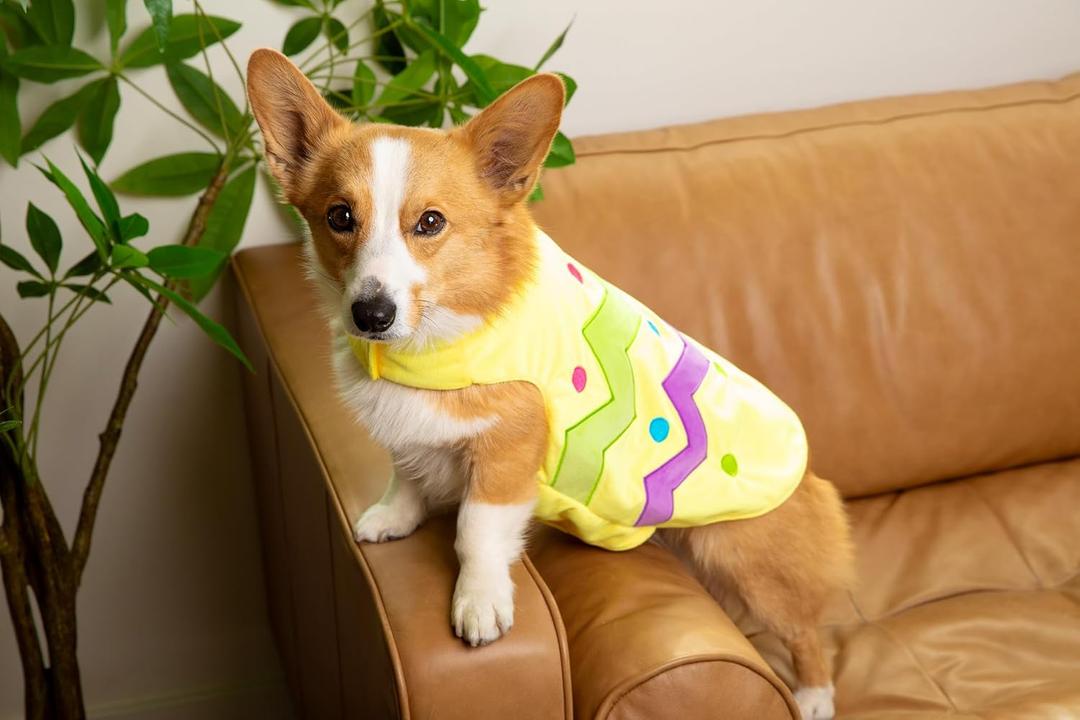 Midlee Easter Egg Dog Costume, Soft Plush Fabric (Yellow, Small)
