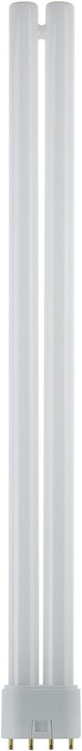 Sunlite FT36DL/841 Compact Fluorescent 36W Twin Tube Light Bulbs, 4100K Cool White Light, 2G11 Base