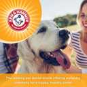 Arm & Hammer for Pets Dental Mints for Dogs, Fresh Breath | Get Fresh Doggie Breath Without Brushing, Way to Fresher Dog Breath | Chicken Flavor, 40 Count (Packaging may vary) (1.7 Ounce (Pack of 1))