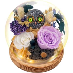 Flowers, Roses Gift - Preserved Flowers & Preserved Roses Gift for Women, Rose Arrangement that Lasts Forever Birthday Gift for Women,Mothers Day &Valentine, Flower for Delivery- Lavender